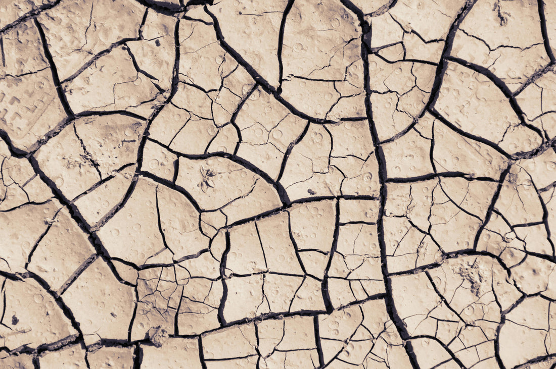 Cracked Desert Dirt