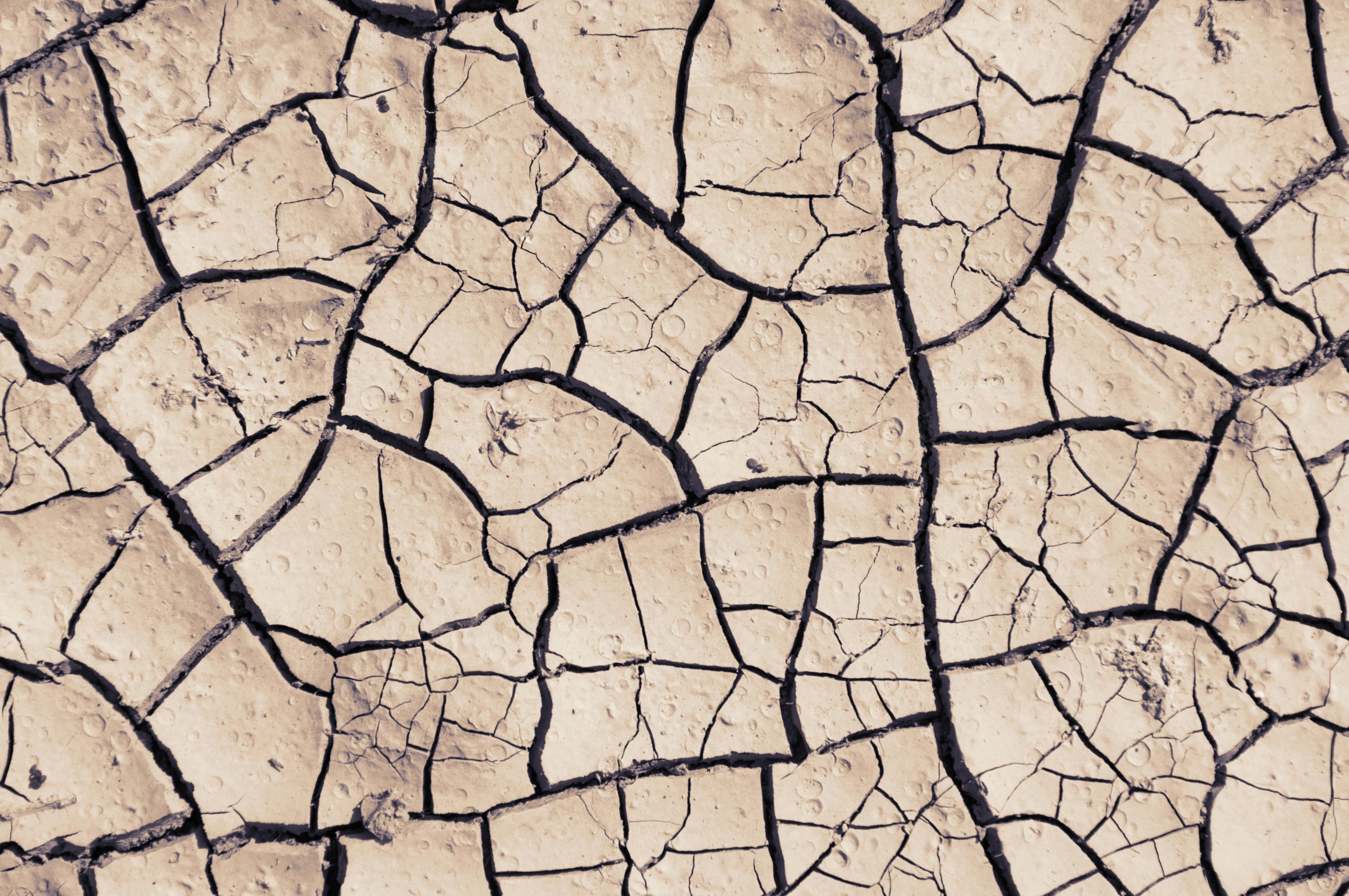 Cracked Desert Dirt
